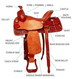 A saddle with text on it

Description automatically generated