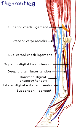 Lesson 2