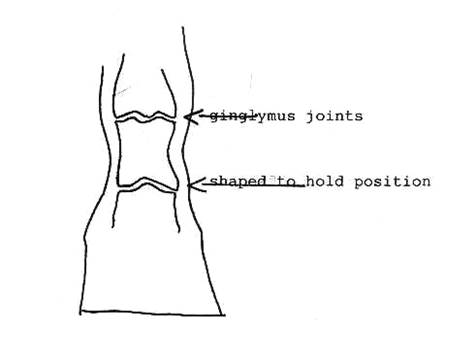 Lesson 3